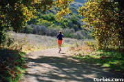 He ran from me: only my own species showed fear.
