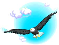 No eagle ever rode the thermals more cleverly.